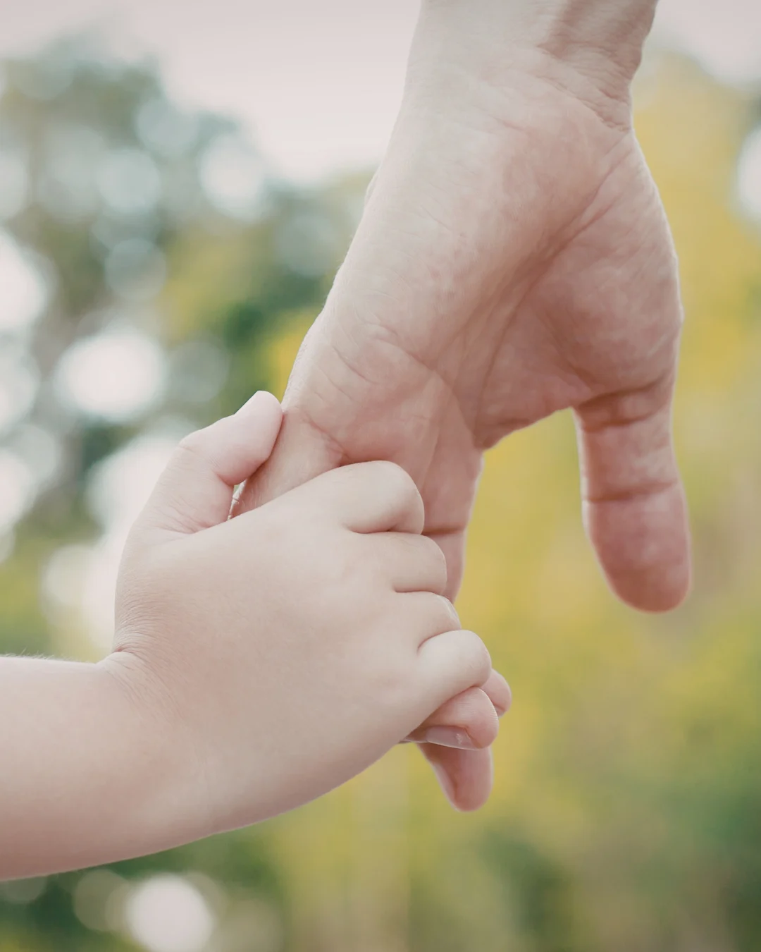 Kako postati stručnjak